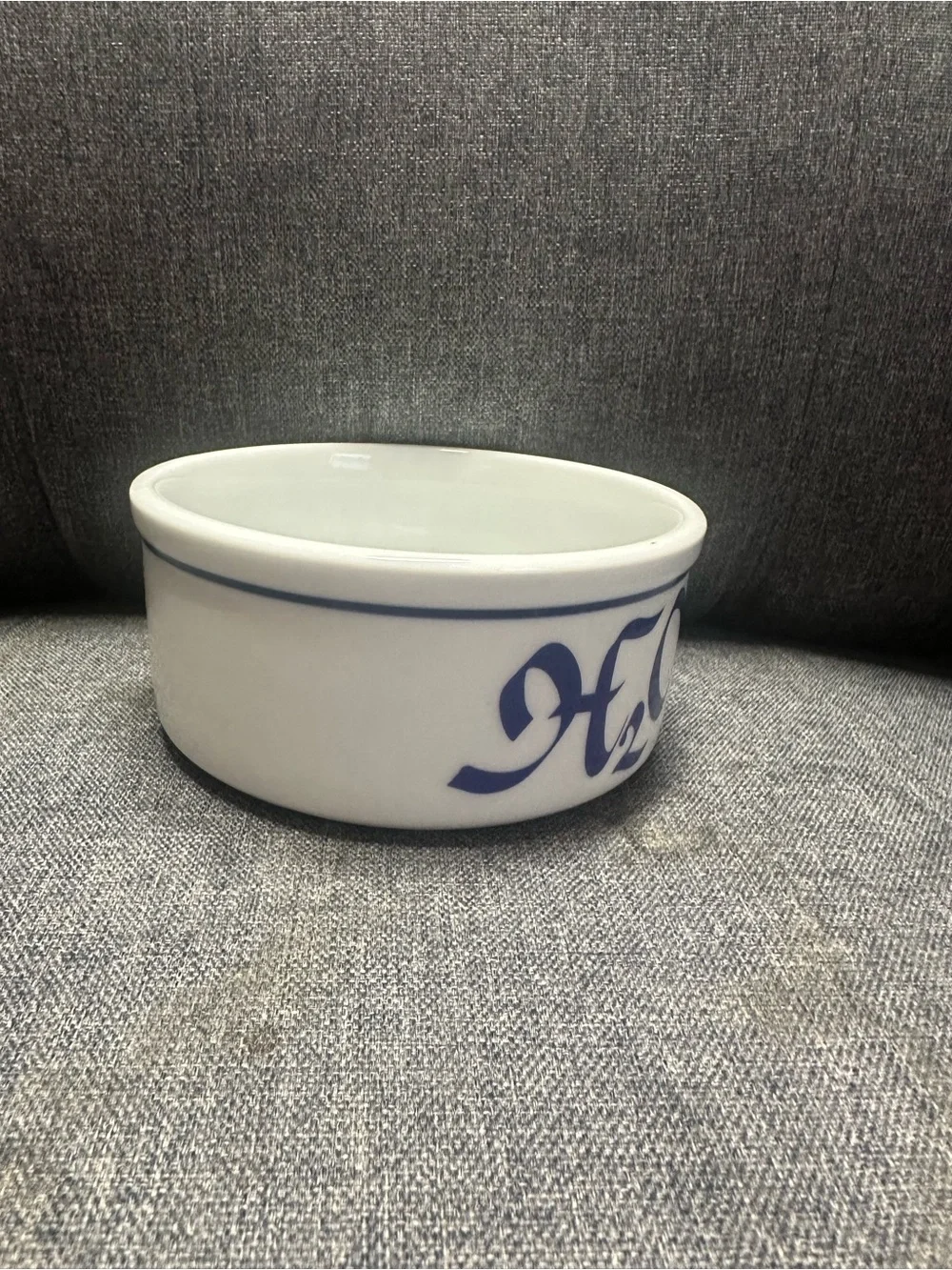 Vintage Ceramic H2O Dog Water Bowl